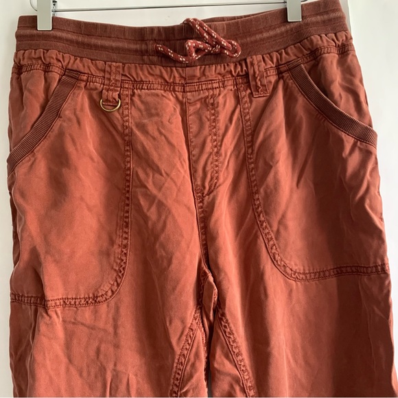 Anthropologie Pilcro Mallory Jogger Pants brick - Picture 4 of 12